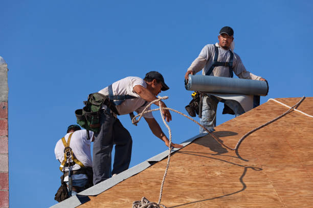 Roof Gutter Cleaning in Alum Rock, CA